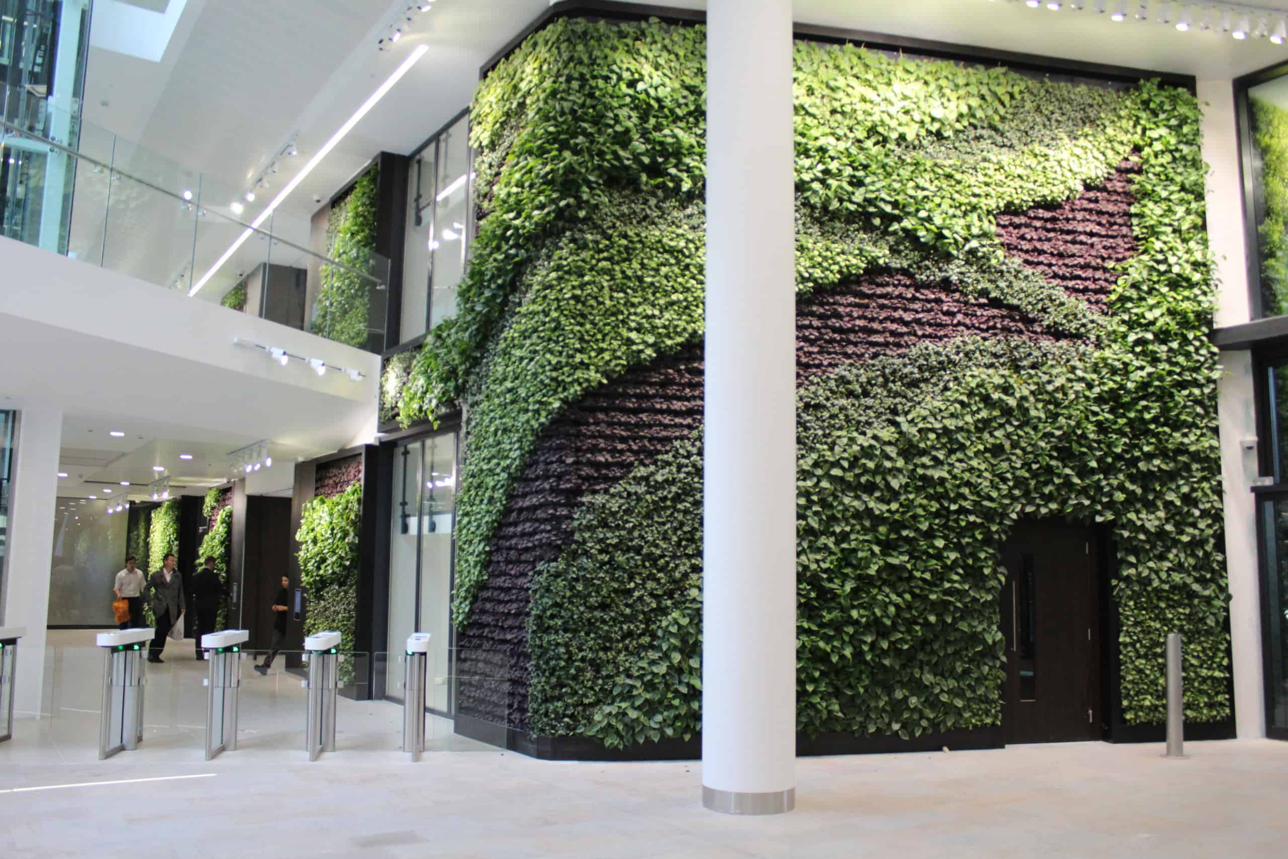 plant wrap around wall